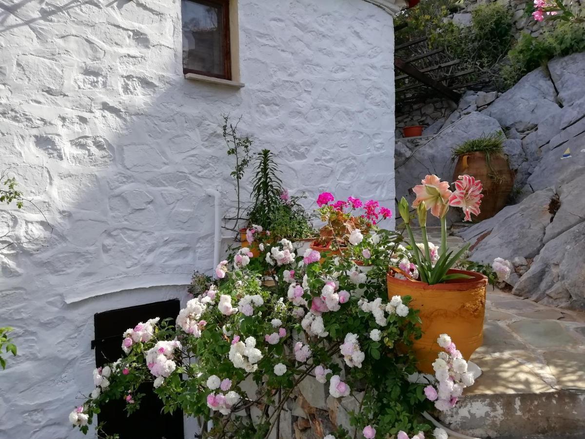 Mandraki  Arbeli Houseヴィラ エクステリア 写真